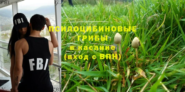 МДПВ Богданович