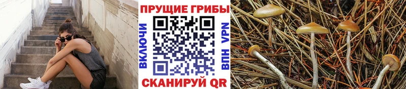 Галлюциногенные грибы ЛСД  что такое наркотик  Болохово 